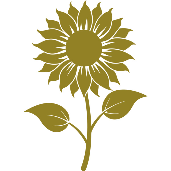 Sunflower 2 Thumbnail