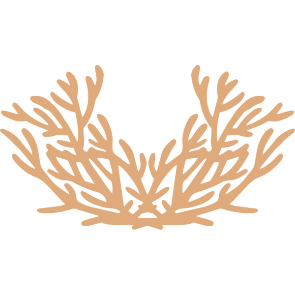 Sea Plants Thumbnail